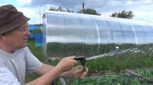 Эффективное средство против муравьев в саду Эффективное средство против муравьев в саду
