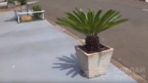 Раковина из бетона своими руками Раковина из бетона своими руками