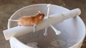 3 самоделки для бюджетной чистки домашнего бассейна 3 самоделки для бюджетной чистки домашнего бассейна