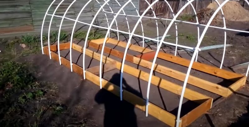 Как сделать теплицу за пару дней своими руками